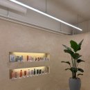 자양동물병원 이미지