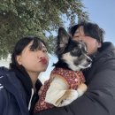 대아골프존 이미지