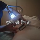 소유식