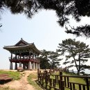 장수바다한의원 네이버블로그
