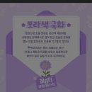 대전 유성국화축제 2024 유림공원 핑크뮬리, 가을축제