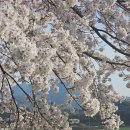 스테이모리 이미지