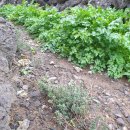 프라비타 민박 이미지