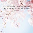 * 스티그마, 예수의 흔적을 가진 사람! (1) - 조태성 이미지