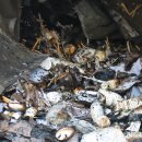 현대시장 이미지