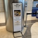 구름이 백화점 | +대전+ 신세계백화점 팝업스토어 봄날엔디저트 약과, 구름크림떡 후기