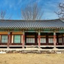 홍산객사 은행나무 이미지