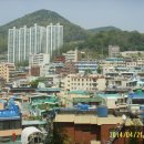 아미초교 이미지