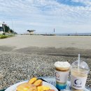 dalpado(달파도)