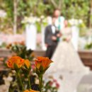 소로2-송촌40 | 결혼 이바지음식 비용 신부이바지 전문점 상담후기