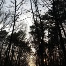 깃발목장 이미지