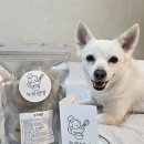 누리댕댕 이미지