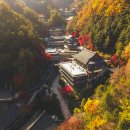 "우리나라 최대 규모 천년사찰 구인사 단풍 스케일부터 달라요" 5060이 즐겨 찾는 단풍절경 명소 | 이미지