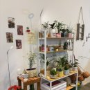 피자스쿨 원주기업도시점 | [원주 기업도시 꽃집] “쁘띠포레” 원주 기업도시 어버이날 꽃다발 할인 꽃집 방문 솔직 후기!