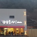 댕댕플래닛 이미지
