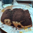 (주)앤틱카페 | 제주 조천 신상카페 추천 🌿 안티코, 제주에서 만난 감성 앤틱