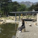 충혼비(고성군) | 속초 봄여행 Day #3 / 바우지움조각미술관, 엄지네포장마차, 글라스하우스, 천진해수욕장