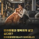 반려동물행동지도사 / 2개월 과정 | 반려동물행동지도사 자격증 완전정리｜하는 일, 취업, 교육기관 정보까지
