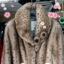 상남동209 이미지