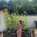 스테이인터뷰영동 이미지