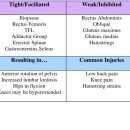 Lower-Crossed Syndrome 총론은 여기에 뒤 운동법은 파일로.(마침) 이미지