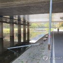 돌마교 아래 이미지