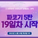 파란코끼리