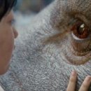 미란코퍼레이션 이미지