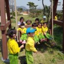 한옥농장 이미지