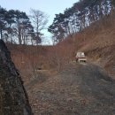 월악산자연농장 이미지