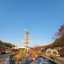 오월드 | [대전오월드플라워랜드] 대전오월드 야간개장 나이트 유니버스 후기