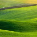 Greenfield 이미지