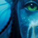 아바타 소프트웨어 이미지