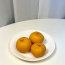 유현농장 이미지