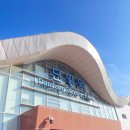 영천시외버스터미널 옆 교통섬 | 뚜벅이 단양여행 1박 2일 /고수동굴, 다누리 아쿠아리움, 단양구경시장, 구인사, 만천하 스카이워크