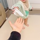 그림책으로 나누는 육아 정서(1) 이미지