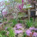 그린토피아 이미지