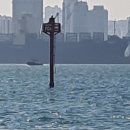 동해-단속-42 이미지