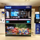 바리스타(창업) B 이미지