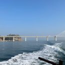 삼포방파제 이미지