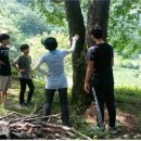 평창흰구름산촌마을 이미지