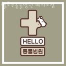 헬로우동물병원 | 영등포구 여의도동 동물병원 헬로우동물병원 여의도점 진료시간 접근성 이용후기