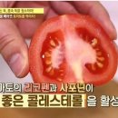토마토건강원
