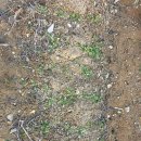 함박뫼로152번길 이미지