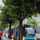 더조은관광 이미지