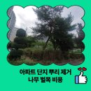 덕산읍 행정복지센터 탁구장 | 아파트 단지 뿌리 제거 나무 벌목 비용