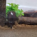 레코드코인노래연습장 이미지