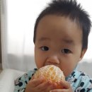 철호농장 이미지