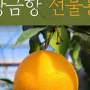 승환농장 이미지