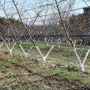 농가의 겨울 이미지